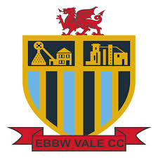Image result for Vale Cricket Club