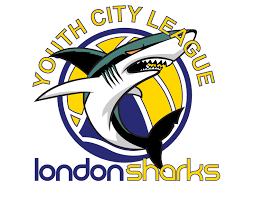 Image result for London Sharks Floorball Club