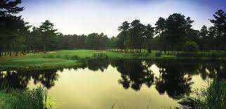 Image result for Falmouth Scrabble Club