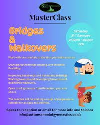 Image result for Sutton School Of Gymnastics