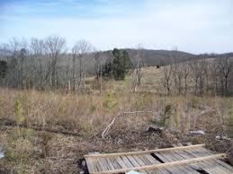 Image result for Maulden Nc