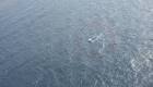 Bomb boat: Search on for wreckage, Coast Guard says crew didnt.