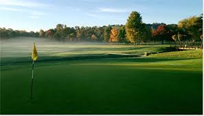 Image result for Newton Abbot Somersaults Gc