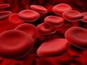 Common Blood Disorders in Children - i Health Plus