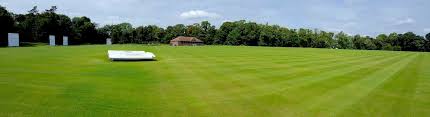 Image result for Cokenach Cc