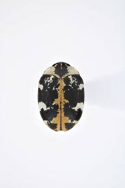 Attēlu rezultāti vaicājumam “Anthrenus scrophulariae”