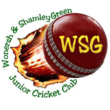 Image result for Wonersh Cricket Club