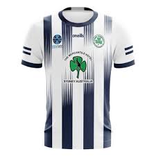 Image result for Shamrocks Hurling & Football Club