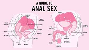 Image result for sexe anal