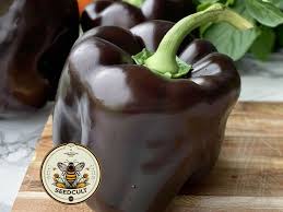 Afbeeldingsresultaat voor chocolate beauty sweet pepper