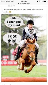 Image result for Reading University Riding Club