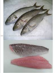 Image result for Aprion virescens