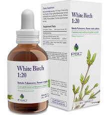 Attēlu rezultāti vaicājumam “Betula pubescens flower”