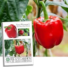 Afbeeldingsresultaat voor yolo wonder sweet pepper