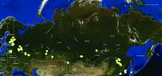Attēlu rezultāti vaicājumam “Najas tenuissima”