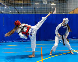 Image result for Impact Martial Arts