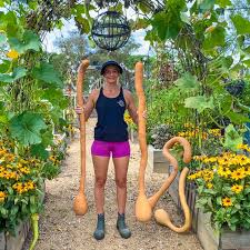 Image result for tromboncino