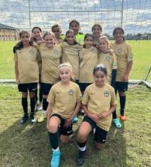 Image result for Borehamwood Crusaders