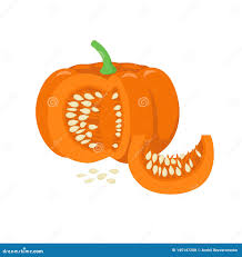 Attēlu rezultāti vaicājumam “Cucurbita pepo fruit”