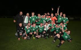 Image result for Newdigate F C