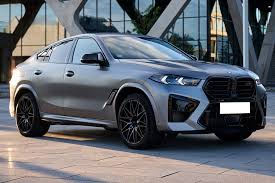 Image result for BMW X6