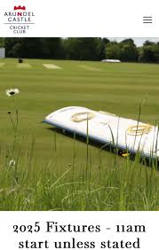 Image result for Antelope & Castle Cricket Club