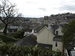 Image result for Newton Abbott Knights