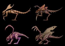 Image result for zergling