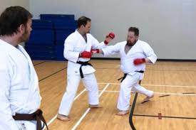Image result for whitley karate club