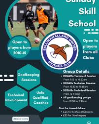 Image result for Ballinamallard United Football Club