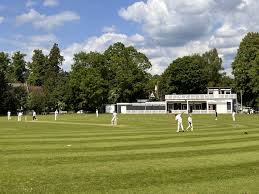 Image result for Bucklebury Cricket Club