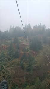 Image result for Go Ape! Grizedale