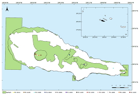 Attēlu rezultāti vaicājumam “Serpoleskea confervoides”