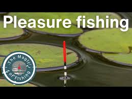 Image result for Woking & District Angling Association