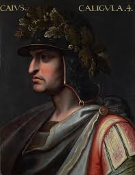 Attēlu rezultāti vaicājumam “Collaria rubens young”