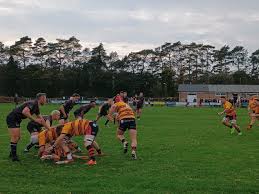 Image result for Lowestoft and Yarmouth Rugby Union Football Club