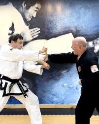 Image result for Dallo Martial Arts