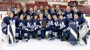 Image result for Mid Surrey Ladies Hockey Club