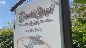Image result for David Lloyd Senior Badminton Club