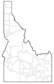 Attēlu rezultāti vaicājumam “Sphagnum platyphyllum”