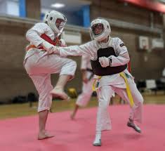 Image result for Durham University Shorinji Kempo Society Club