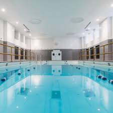 Image result for York University Pool Club