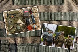 Image result for molle
