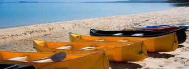 Image result for Kingfisher Canoe Club