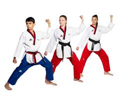 Image result for Red Dragon Taekwondo club