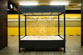 Attēlu rezultāti vaicājumam “Hemitrichia lutescens macro”