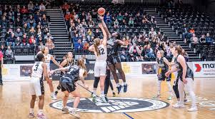 Image result for Sheffield Hatters Basketball Club