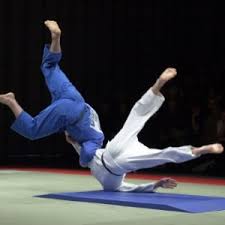 Image result for Warrington Samurai Judo Club