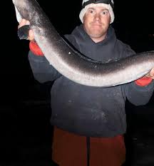 Image result for British Conger Club