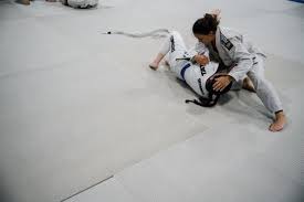 Image result for Wanstead JuJitsu Club